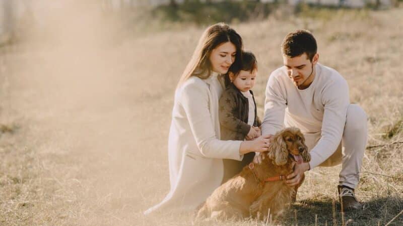 Jakie korzyści płyną z wspólnego spędzania czasu w rodzinie?
